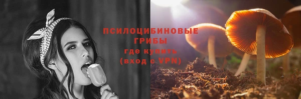 соль ск Верея