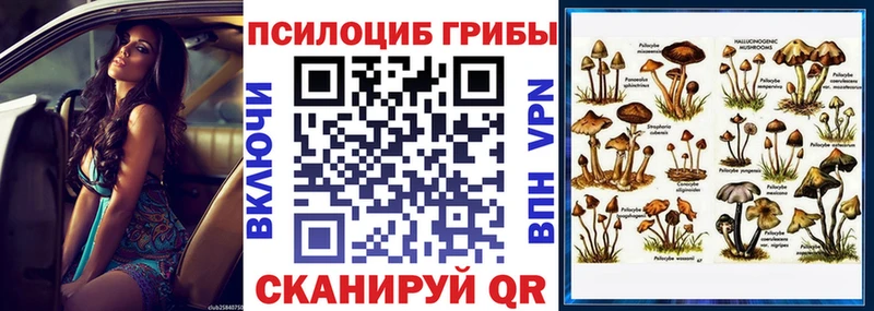 дарнет шоп Симферополь Галлюциногенные грибы мухоморы